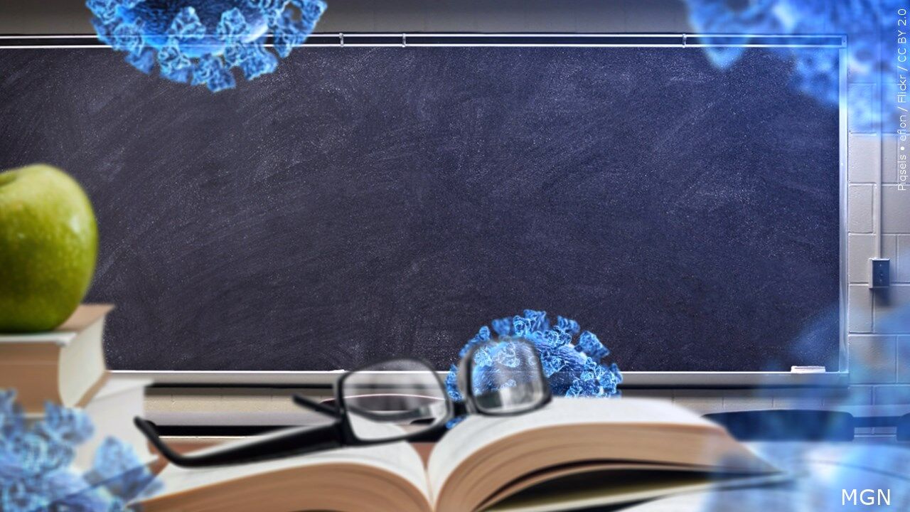 covid in schools